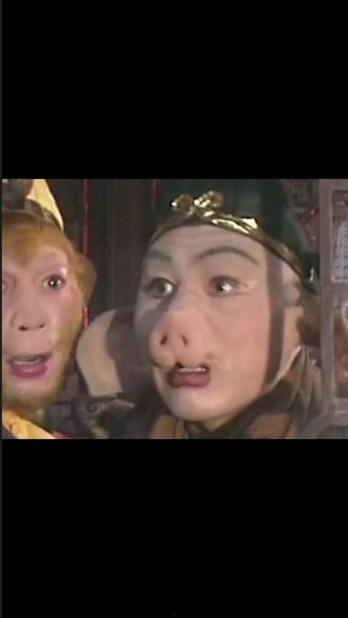 爆料搞笑猪八戒视频大全,搞笑视频大全，笑料横生，欢乐无限