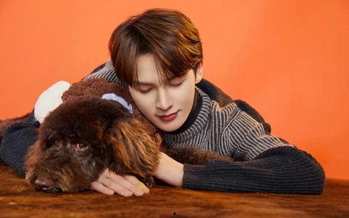 朱正廷苏记导演爆料视频,一场关于青春与梦想的视听盛宴